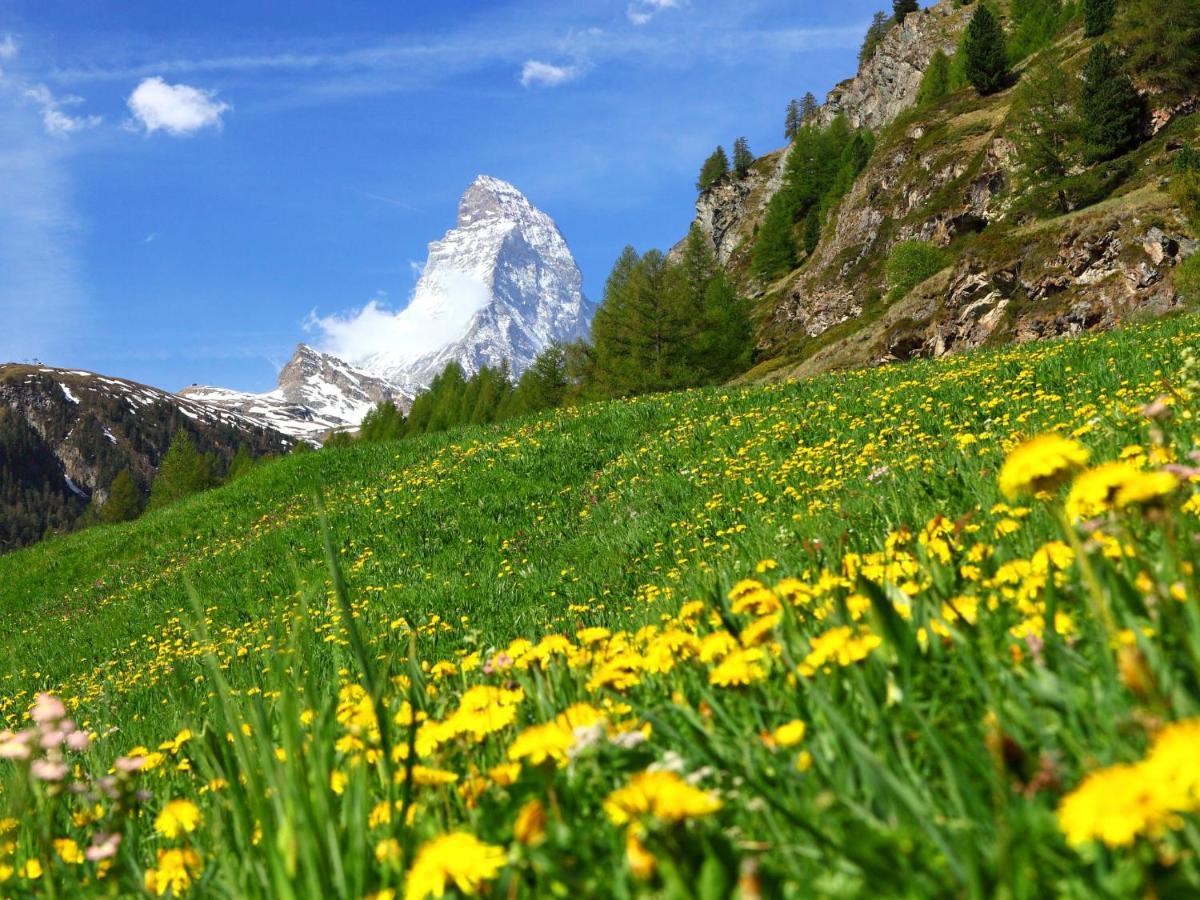 Apartment Sungold-1 By Interhome Zermatt Exteriör bild